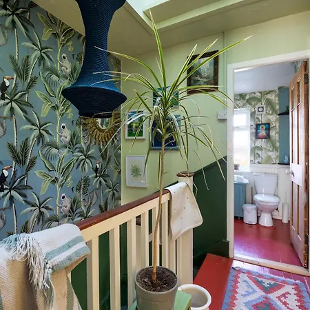 Sunny 3br With Backyard Near Drumcondra Train Station شقة